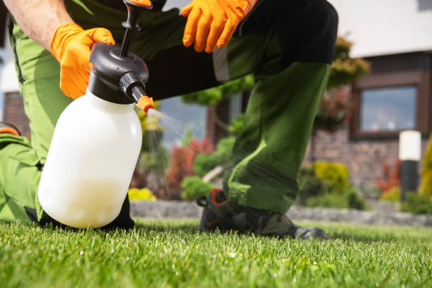 Trusted The Village, OK Pest Control Experts