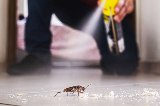 Best Best Pest Control Companies  in The Village, OK
